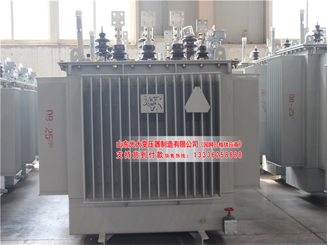 西湖环保型油浸式变压器