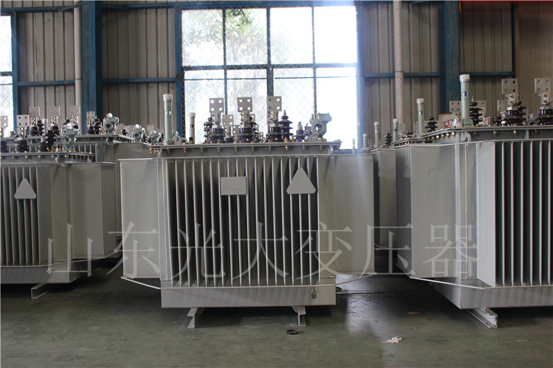 西湖S20-500KVA/10KV